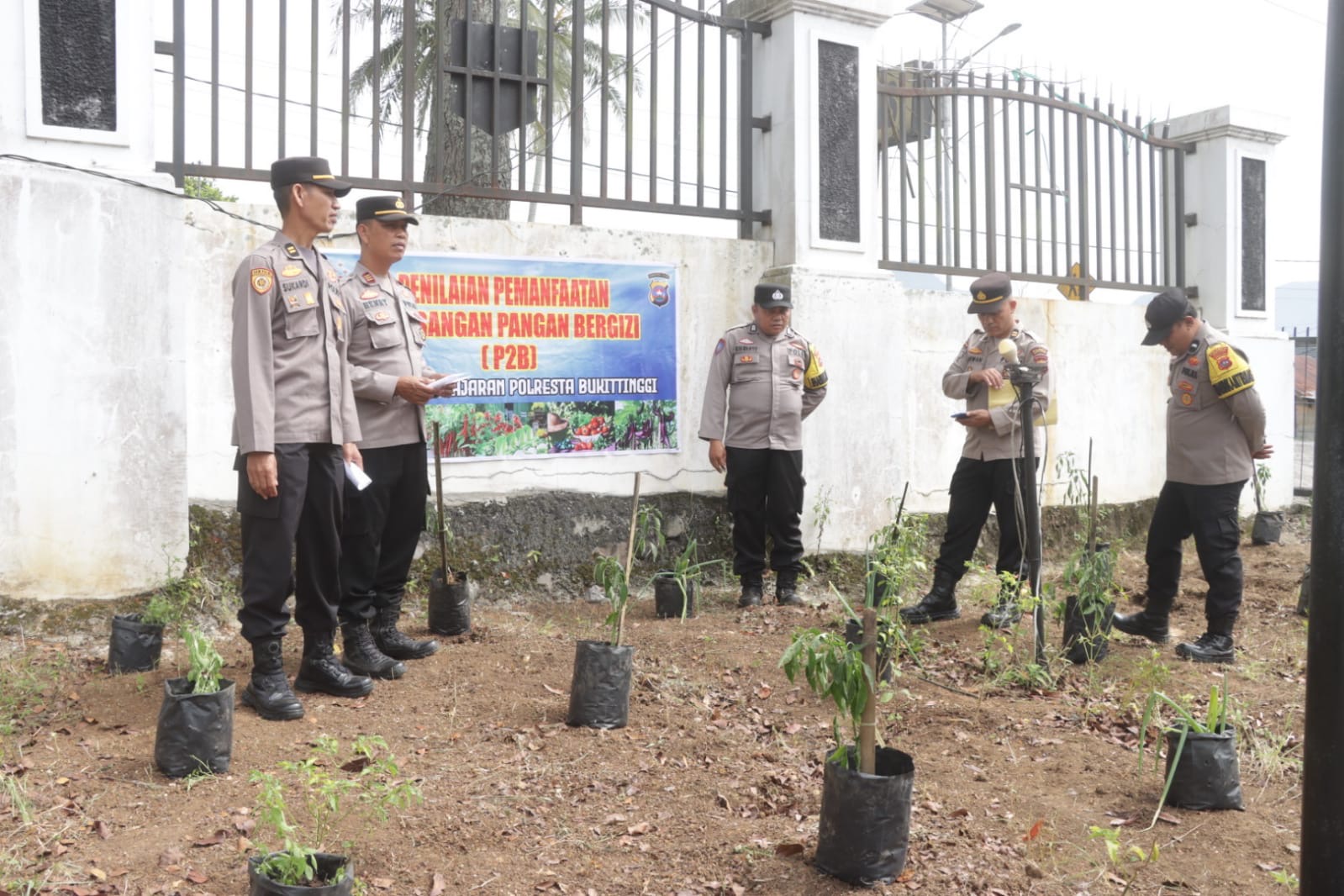 Wujudkan Swasembada Pangan,Polresta  Polresta Bukittinggi Lakukan Penilaian P2B 