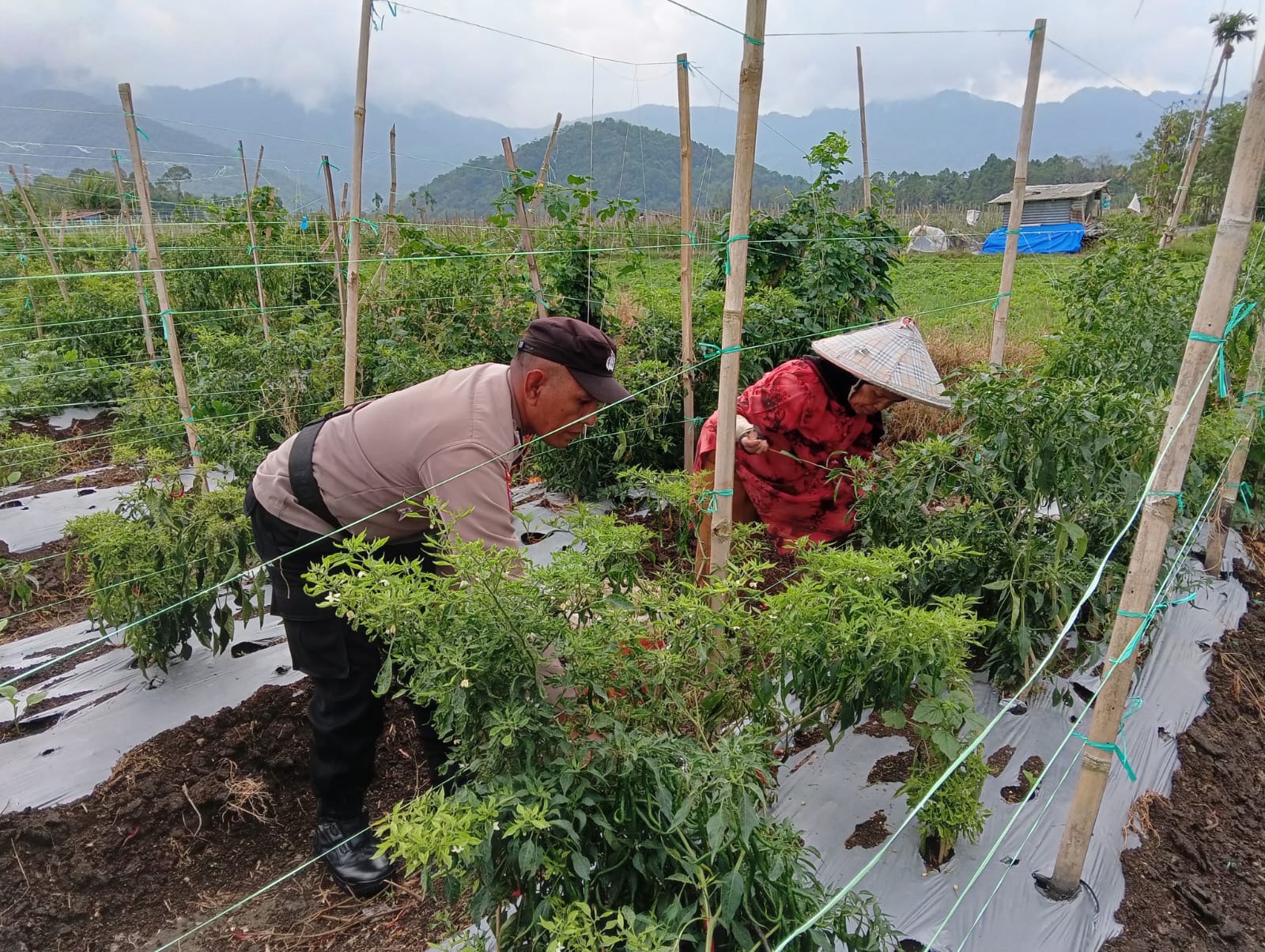THTS Bhabinkamtibmas Polresta Bukittinggi Dukung Program Asta Cita Presiden RI 